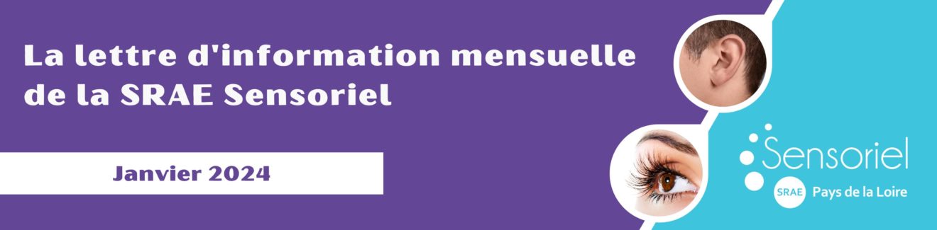 Bandeau lettre d'information mensuelle SRAE sensoriel janvier 2024