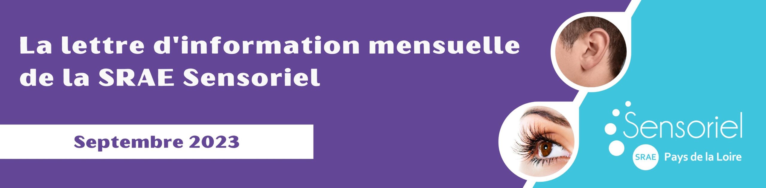 La lettre d'information de la SRAE Sensoriel_septembre 2023
