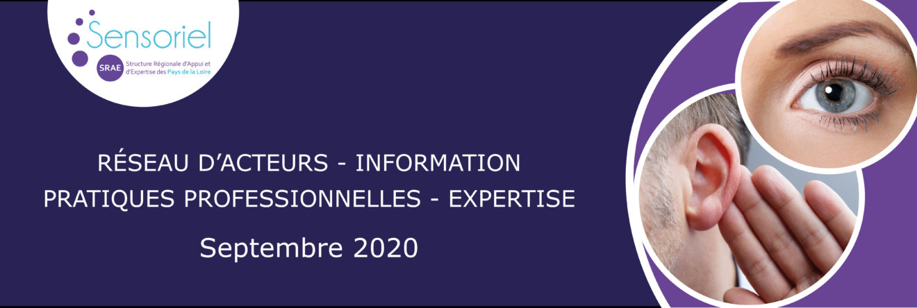 Bannière de présentation SRAE Sensoriel sept. 2020