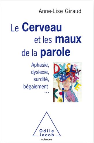 cerveau